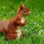 公務員試験の財政学の参考書【改訂版以外は買わないで!】