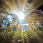 労働基準監督官をはじめから説明【全国転勤の時代は終わった?】