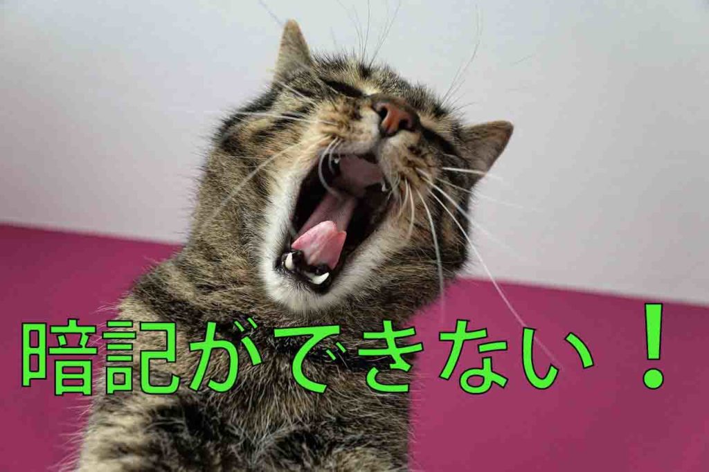 公務員試験の暗記科目のコツ【どうやったら覚えられるのか？】