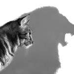 公務員試験の自己PRの書き方【高評価をもらおう！】